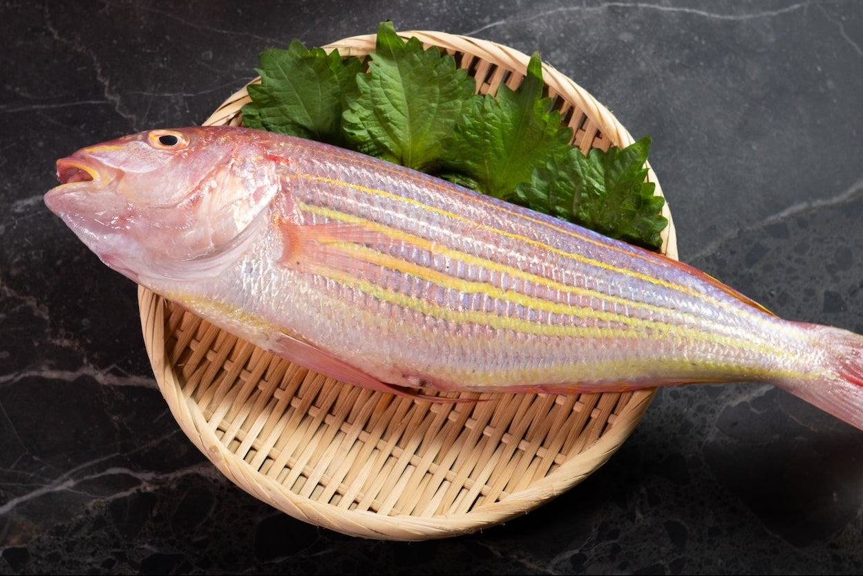 Sashimi Grade Whole Fish