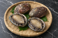 Live Abalone