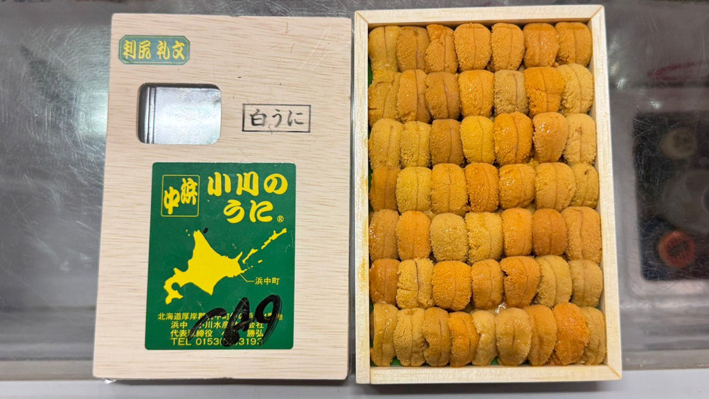 [Preorder] Toyosu Market Uni Selection