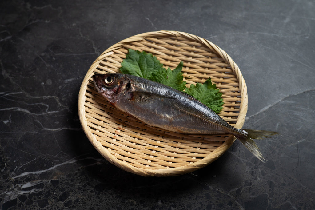 [Sashimi Grade] Aji