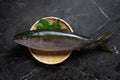 [Sashimi Grade] Hamachi