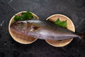 [Sashimi Grade] Kampachi