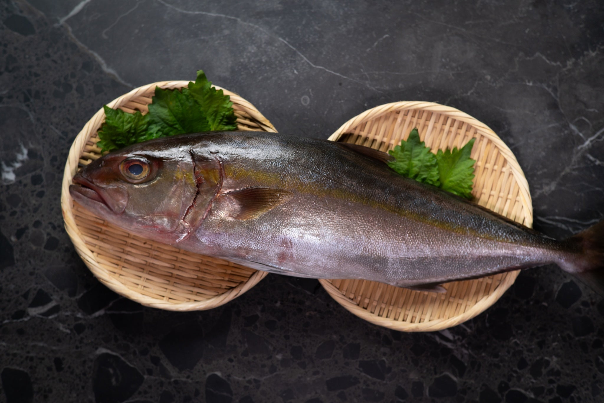 [Sashimi Grade] Kampachi