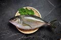 [Sashimi Grade] Shima Aji