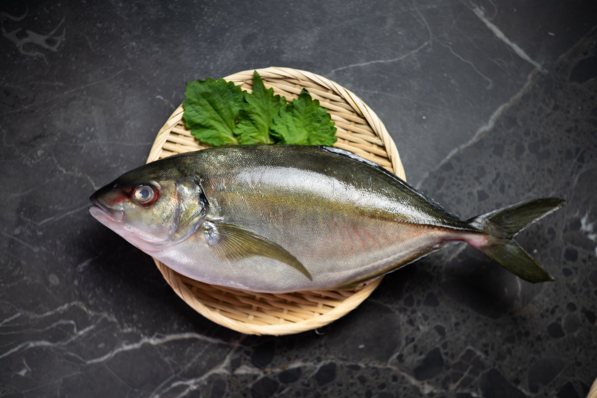 [Sashimi Grade] Shima Aji