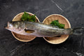 [Sashimi Grade] Suzuki