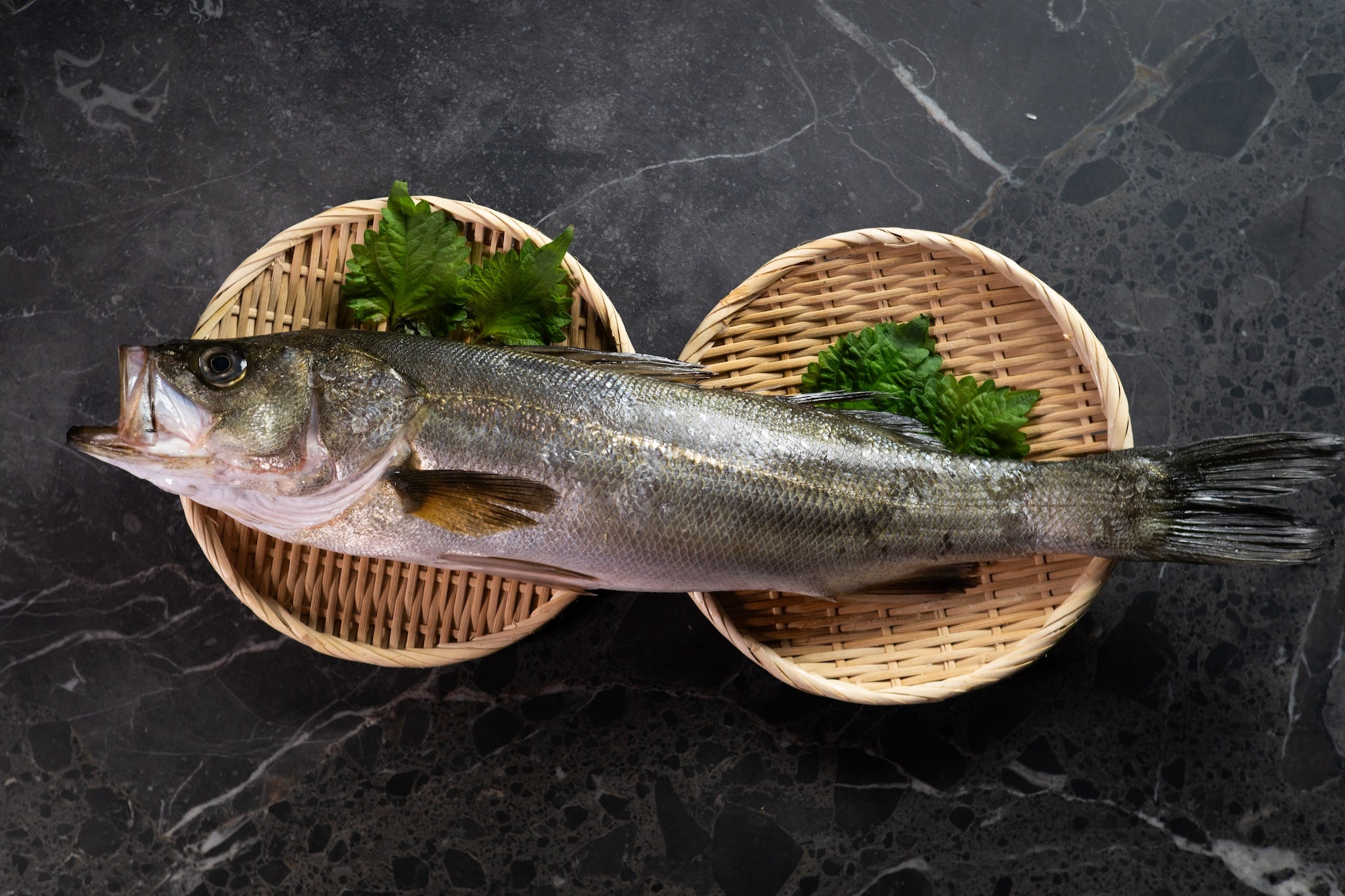 [Sashimi Grade] Suzuki