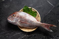 [Sashimi Grade] Tai Seabream