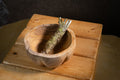Wasabi Fresh
